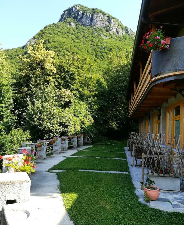 Agriturismo La Selvaggia Mandello del Lario Eksteriør bilde